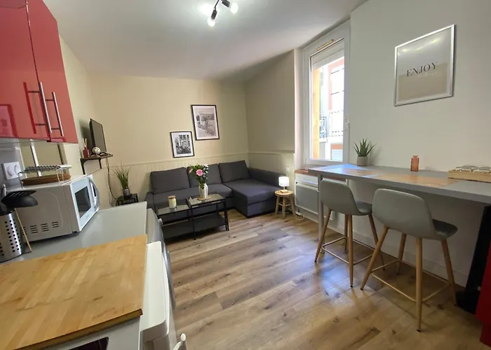 Апартаменты Henry's Place - Cosy En Hypercentre De Тулуза