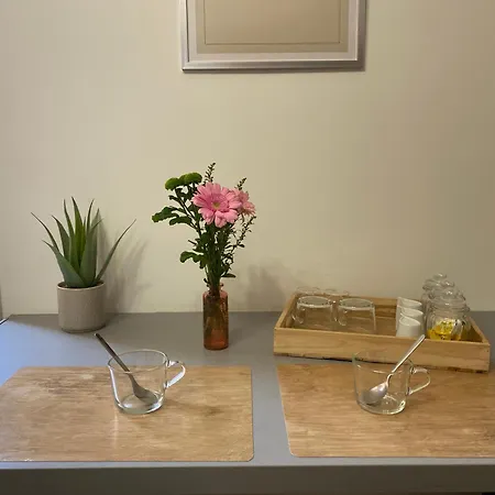 Henry's Place - Cosy En Hypercentre De 툴루즈