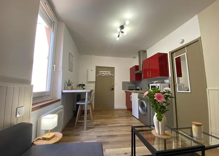 公寓 Henry's Place - Cosy En Hypercentre De 圖盧茲