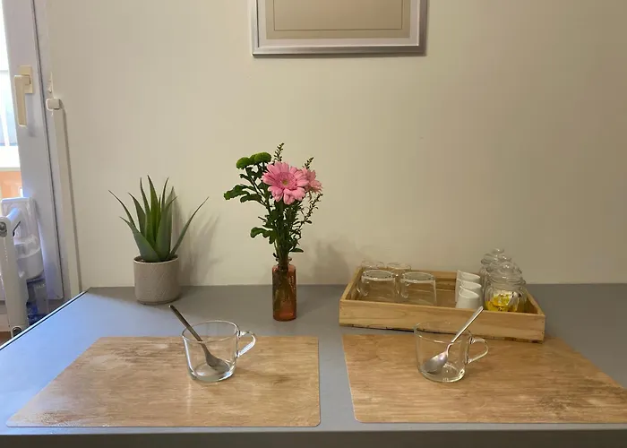 Henry's Place - Cosy En Hypercentre De 圖盧茲